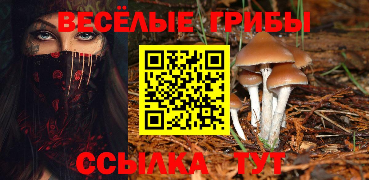 Советская Гавань  Галлюциногенные грибы Psilocybine cubensis  Галлюциногенные грибы прущие грибы  Вход с VPN 