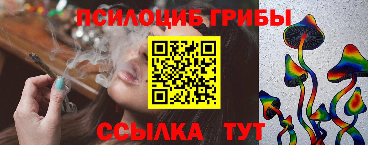 Псилоцибиновые грибы мухоморы Советская Гавань